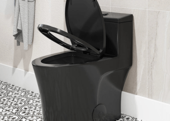 The Perfect Toilet for Renovations: Horow T0338B