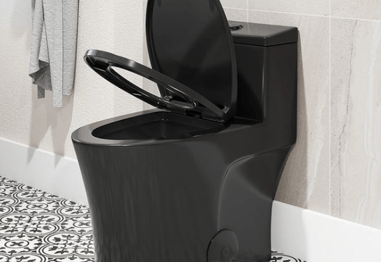 The Perfect Toilet for Renovations: Horow T0338B